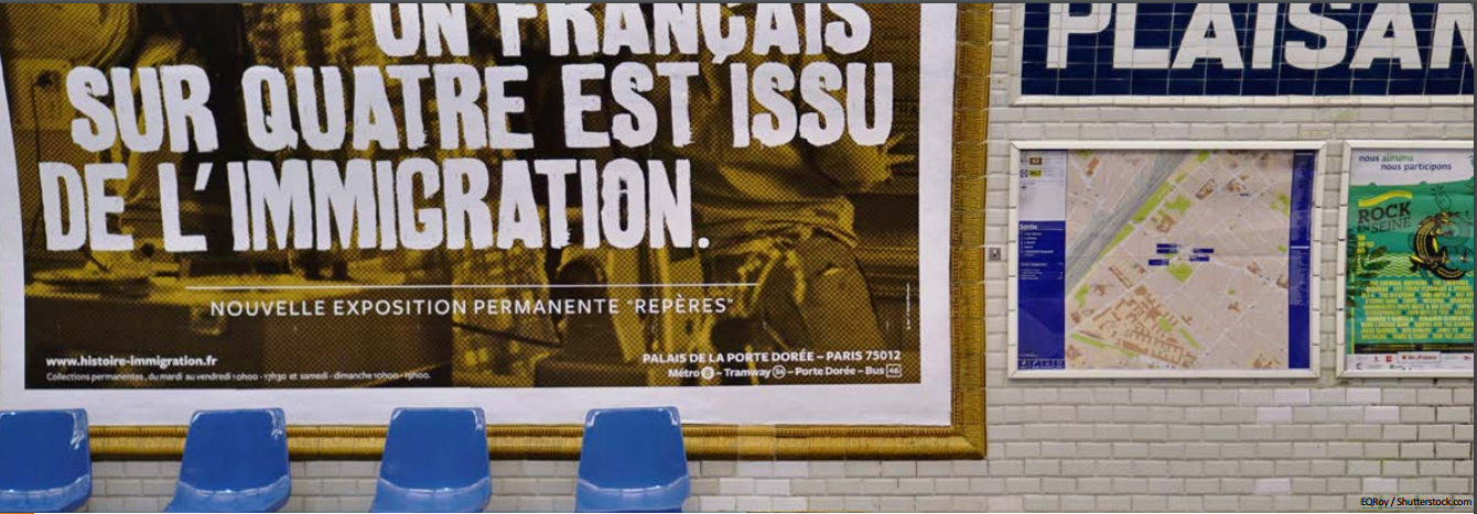 Diaspora arabe: le cas des Maghrébins de France